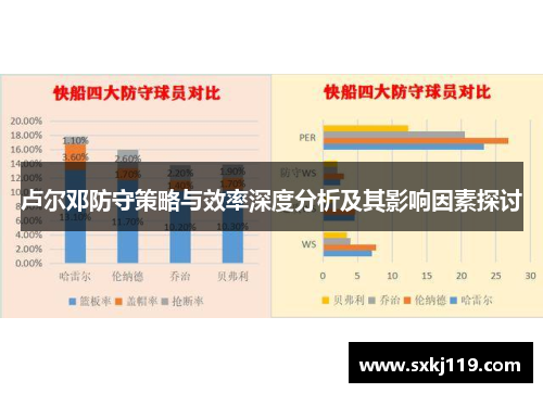 卢尔邓防守策略与效率深度分析及其影响因素探讨