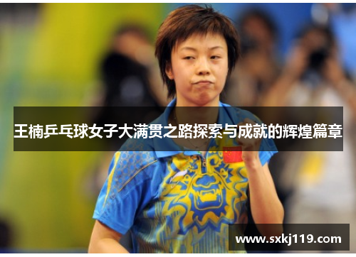 王楠乒乓球女子大满贯之路探索与成就的辉煌篇章