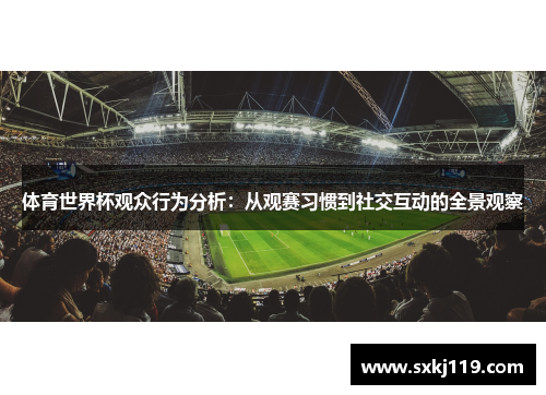 体育世界杯观众行为分析：从观赛习惯到社交互动的全景观察