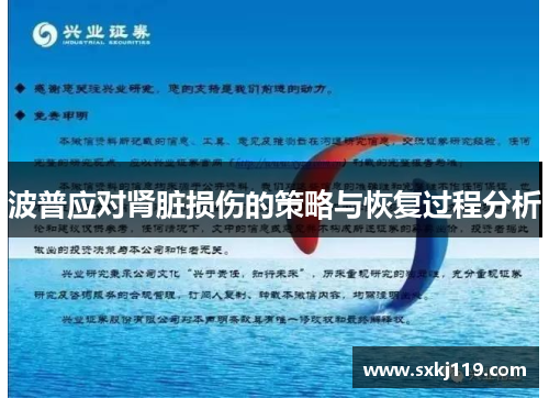 波普应对肾脏损伤的策略与恢复过程分析