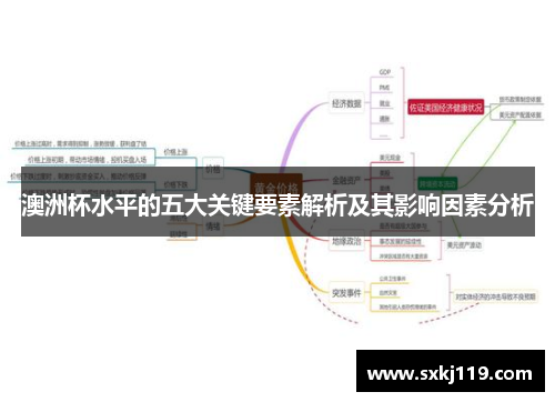 澳洲杯水平的五大关键要素解析及其影响因素分析 澳洲杯水平的五大关键要素解析及其影响因素分析